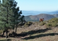 P1200643